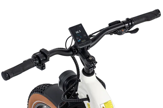Premium AIMA Big Sur - High Performance All-Terrain Mountain Bike