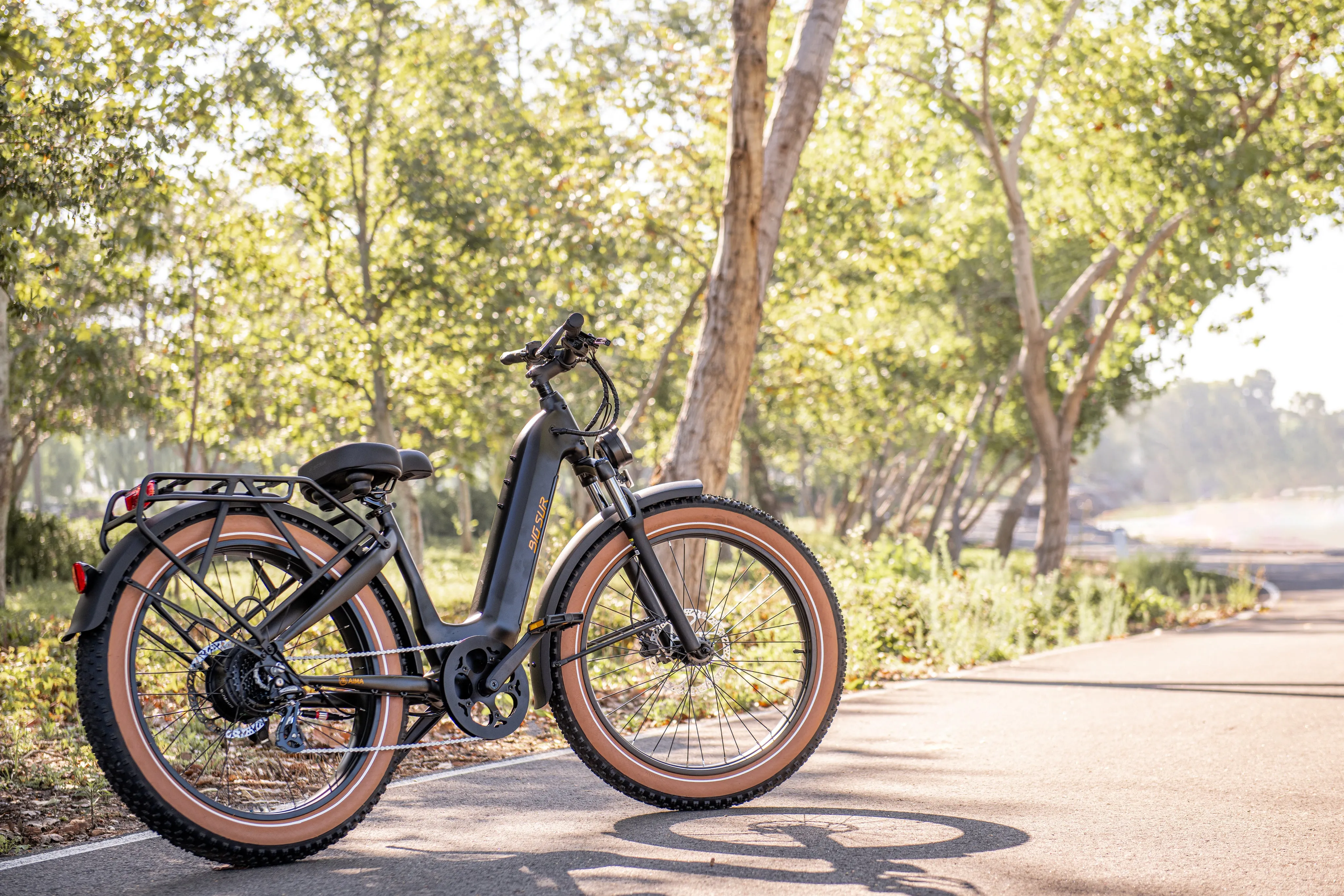 Premium AIMA Big Sur - High Performance All-Terrain Mountain Bike