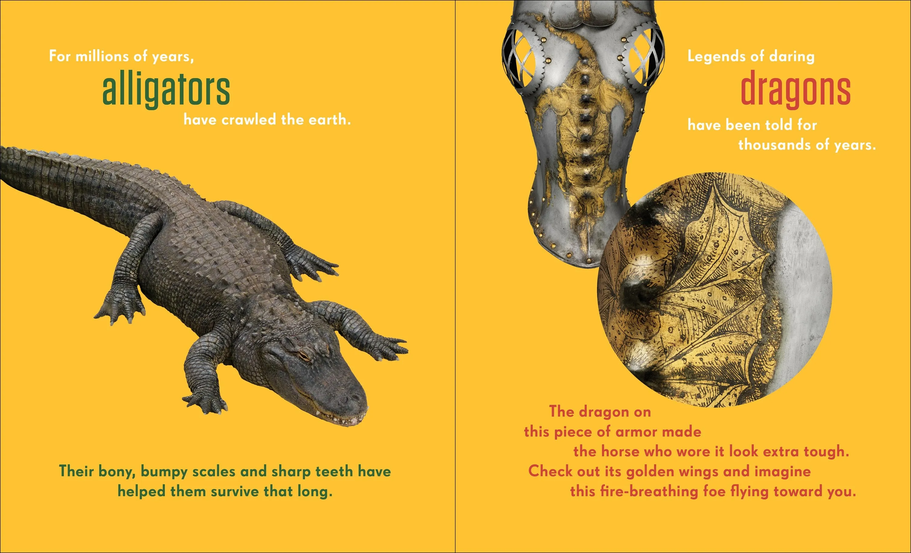 Armor & Animals
