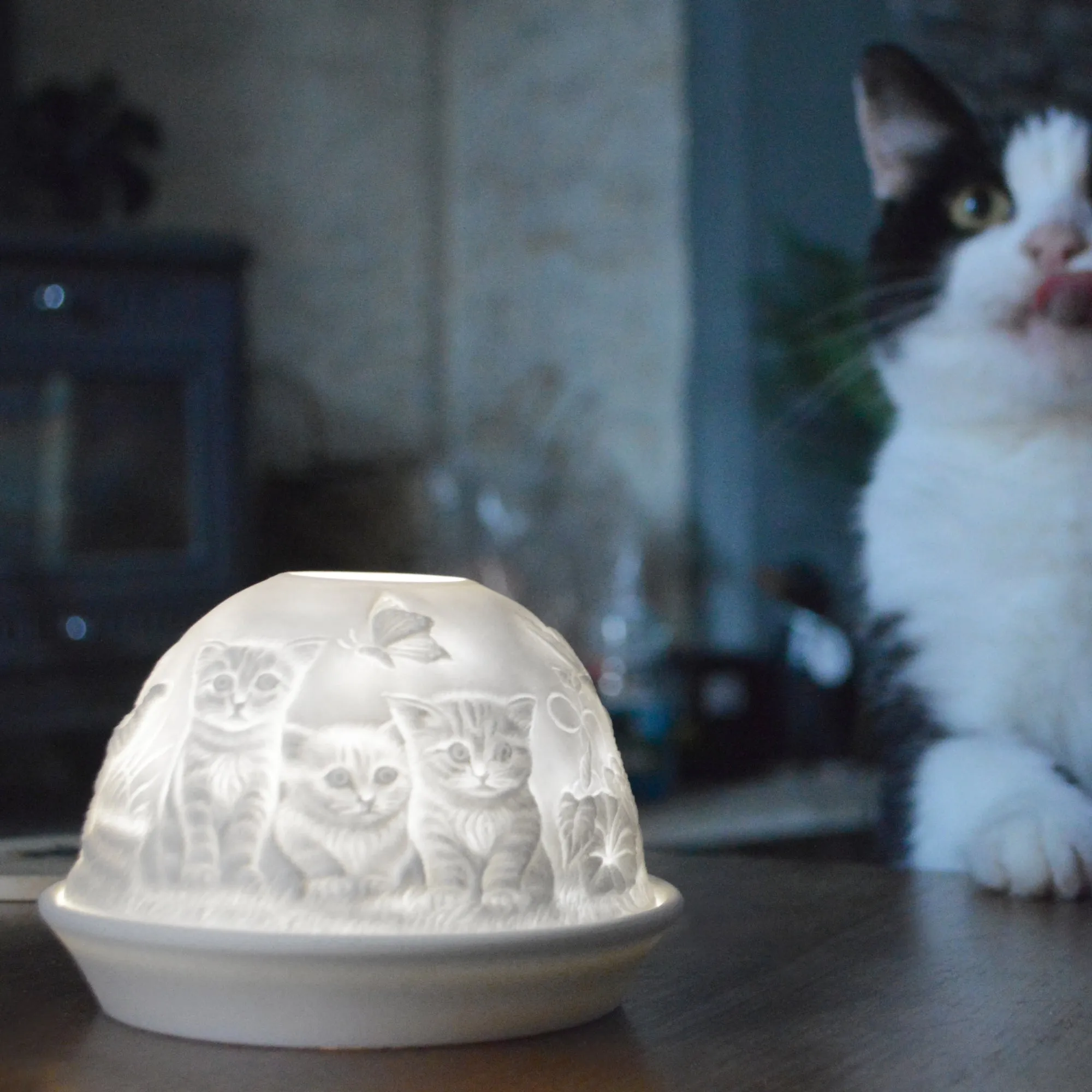 Cello Tealight Dome - Kittens
