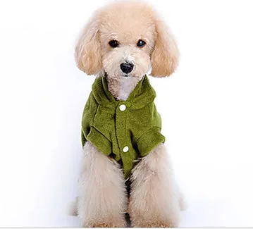 Dinosaur Dog Costume