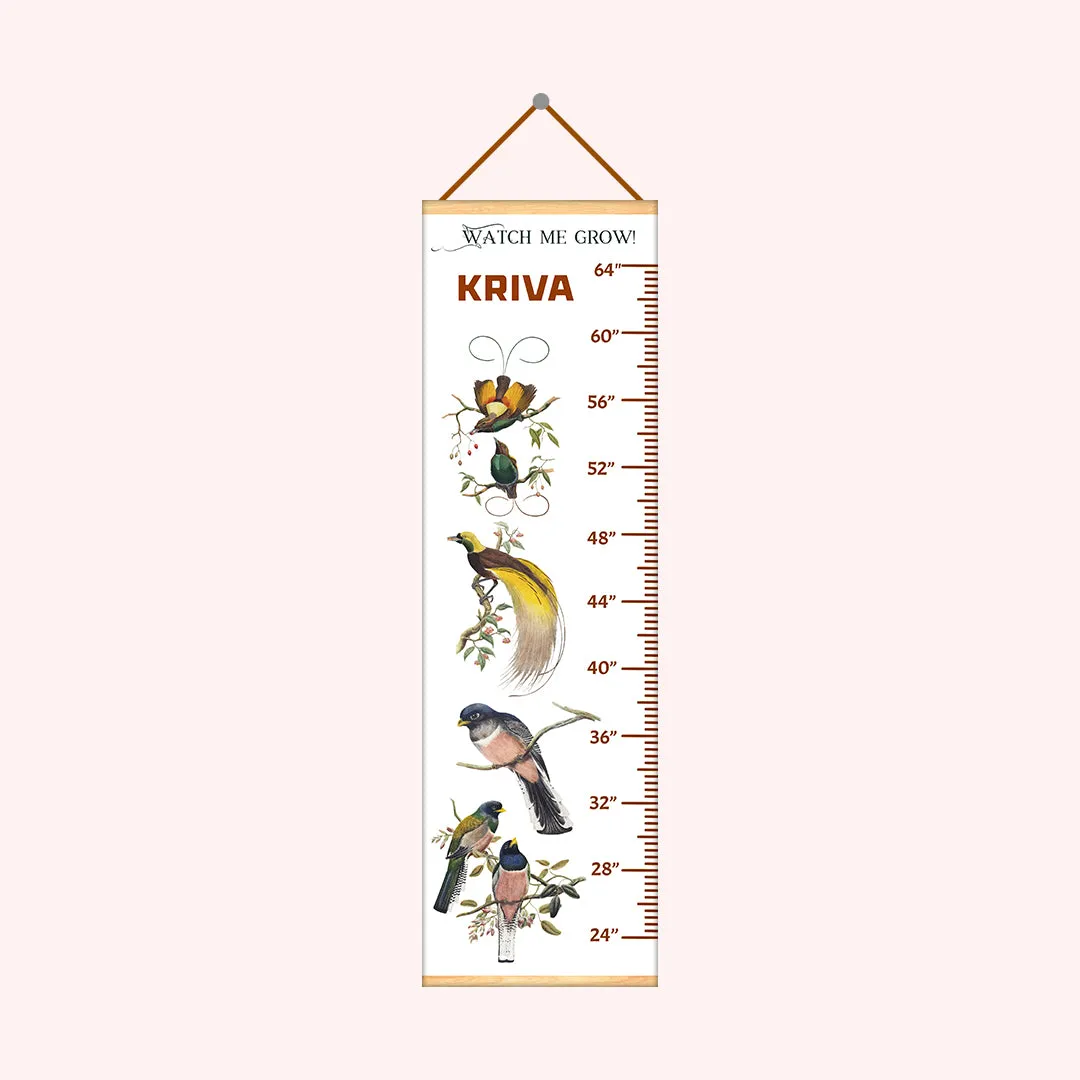 Elegant Trogon theme Kids Growth scale