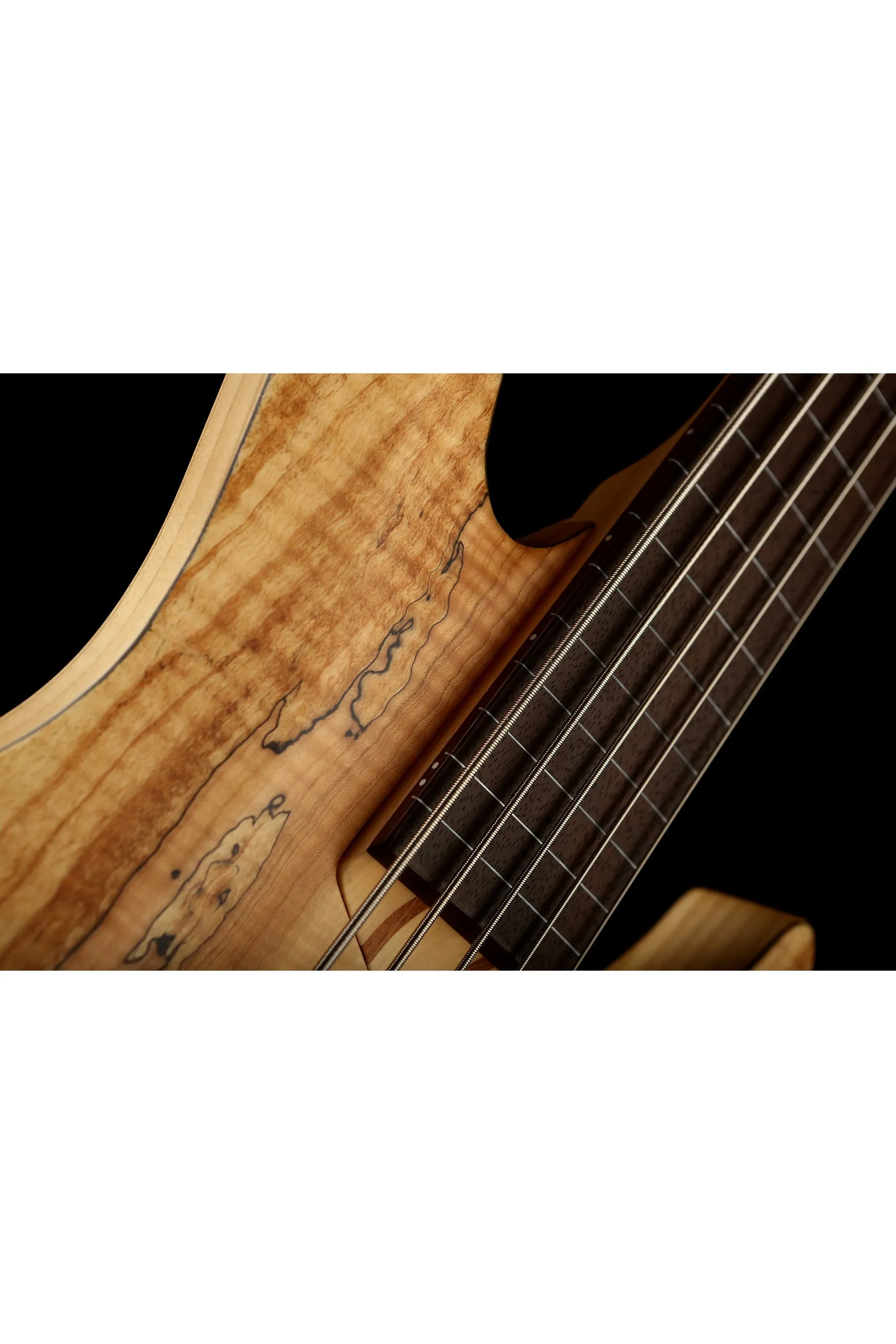 LTD B-205 Spalted Maple 5 STRING Fretless Bass