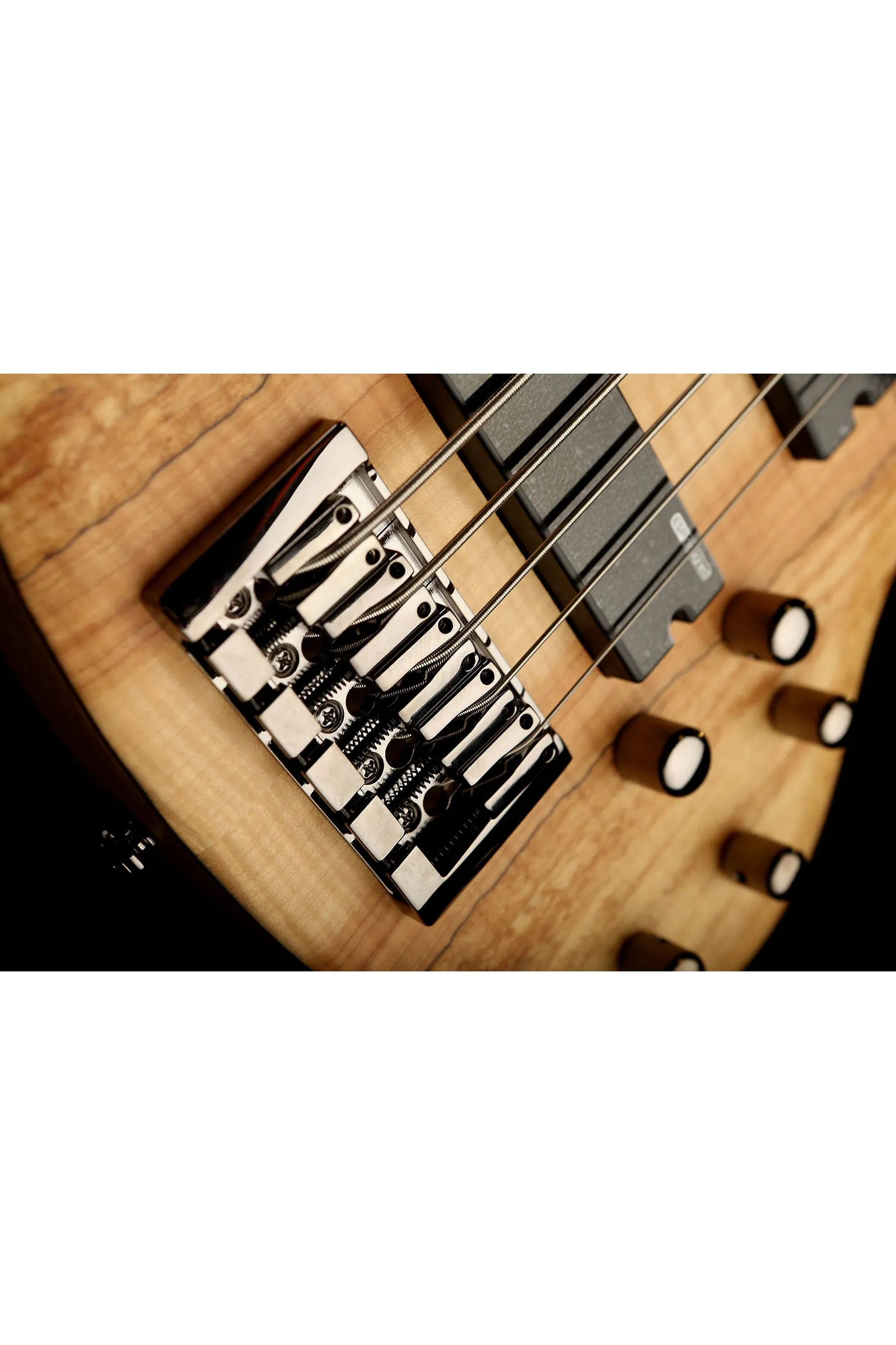 LTD B-205 Spalted Maple 5 STRING Fretless Bass