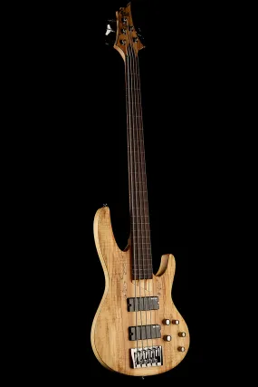 LTD B-205 Spalted Maple 5 STRING Fretless Bass