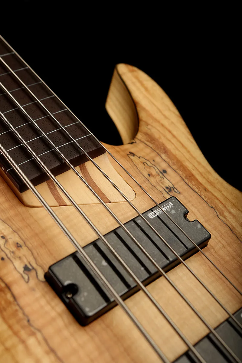 LTD B-205 Spalted Maple 5 STRING Fretless Bass