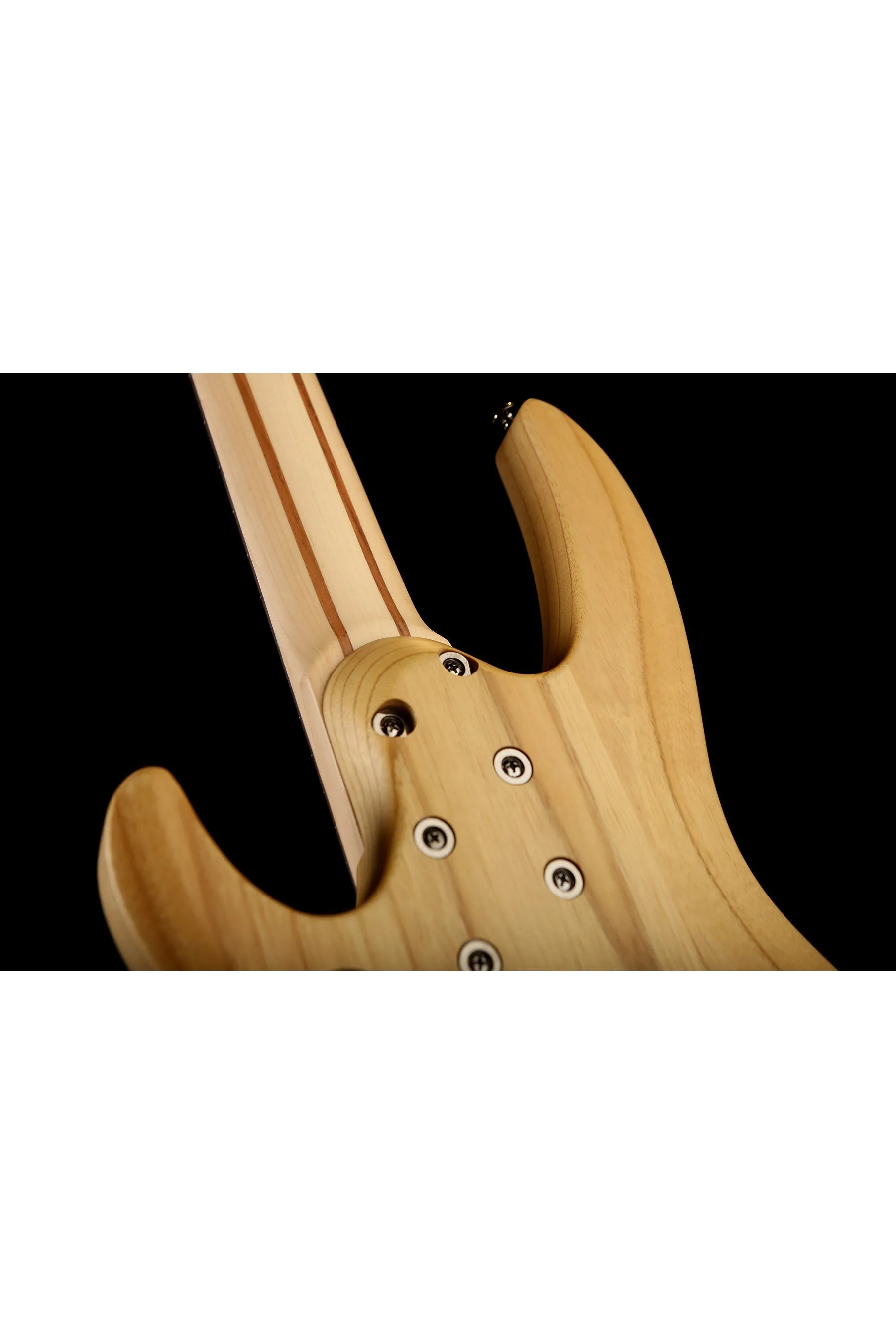 LTD B-205 Spalted Maple 5 STRING Fretless Bass
