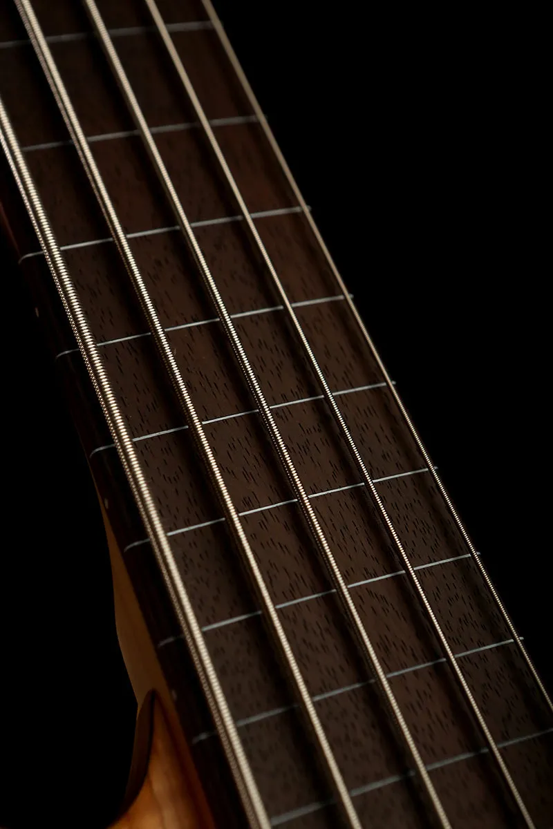 LTD B-205 Spalted Maple 5 STRING Fretless Bass