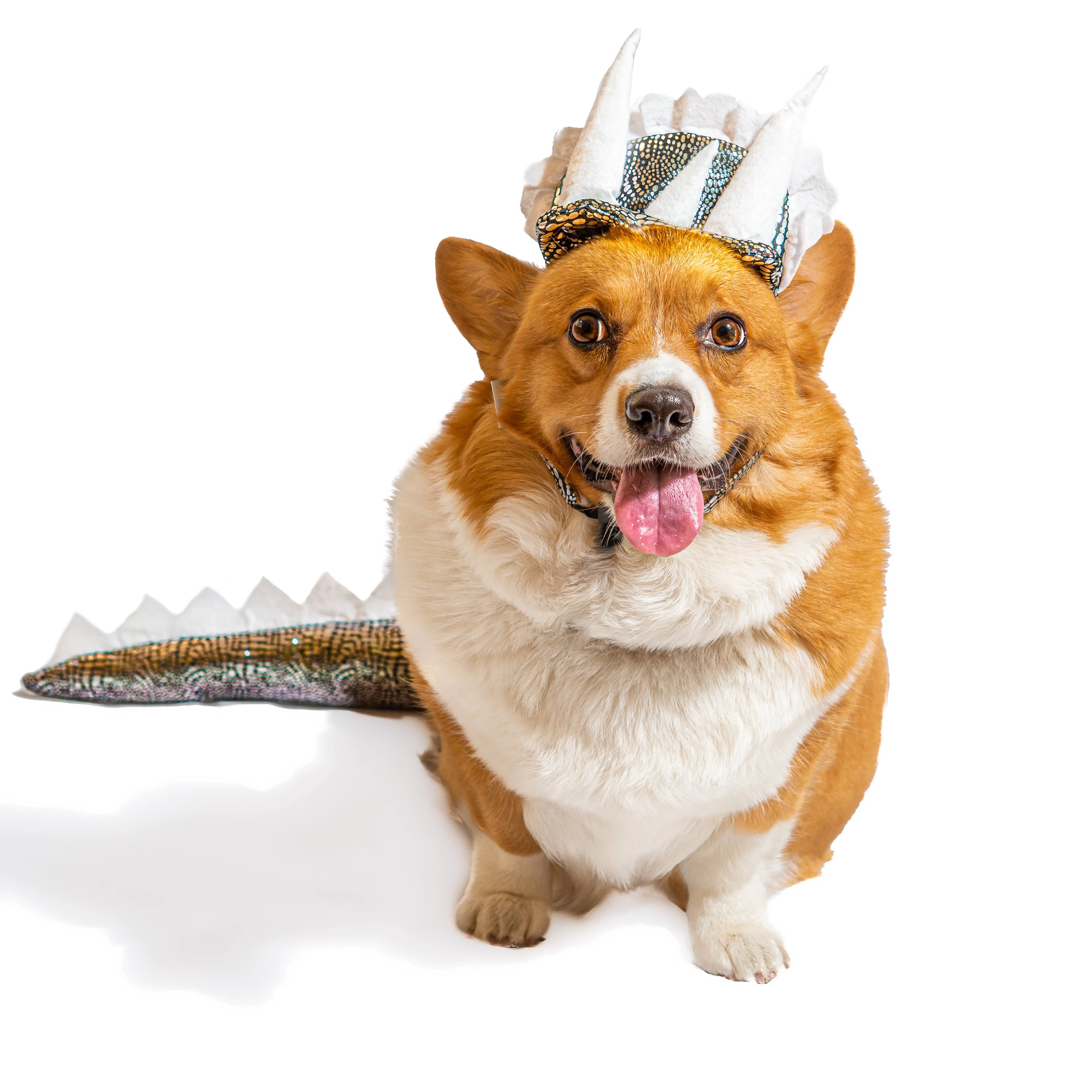 Midlee Designs Dinosaur Headband with Tail Dog Costume