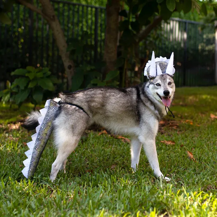 Midlee Designs Dinosaur Headband with Tail Dog Costume