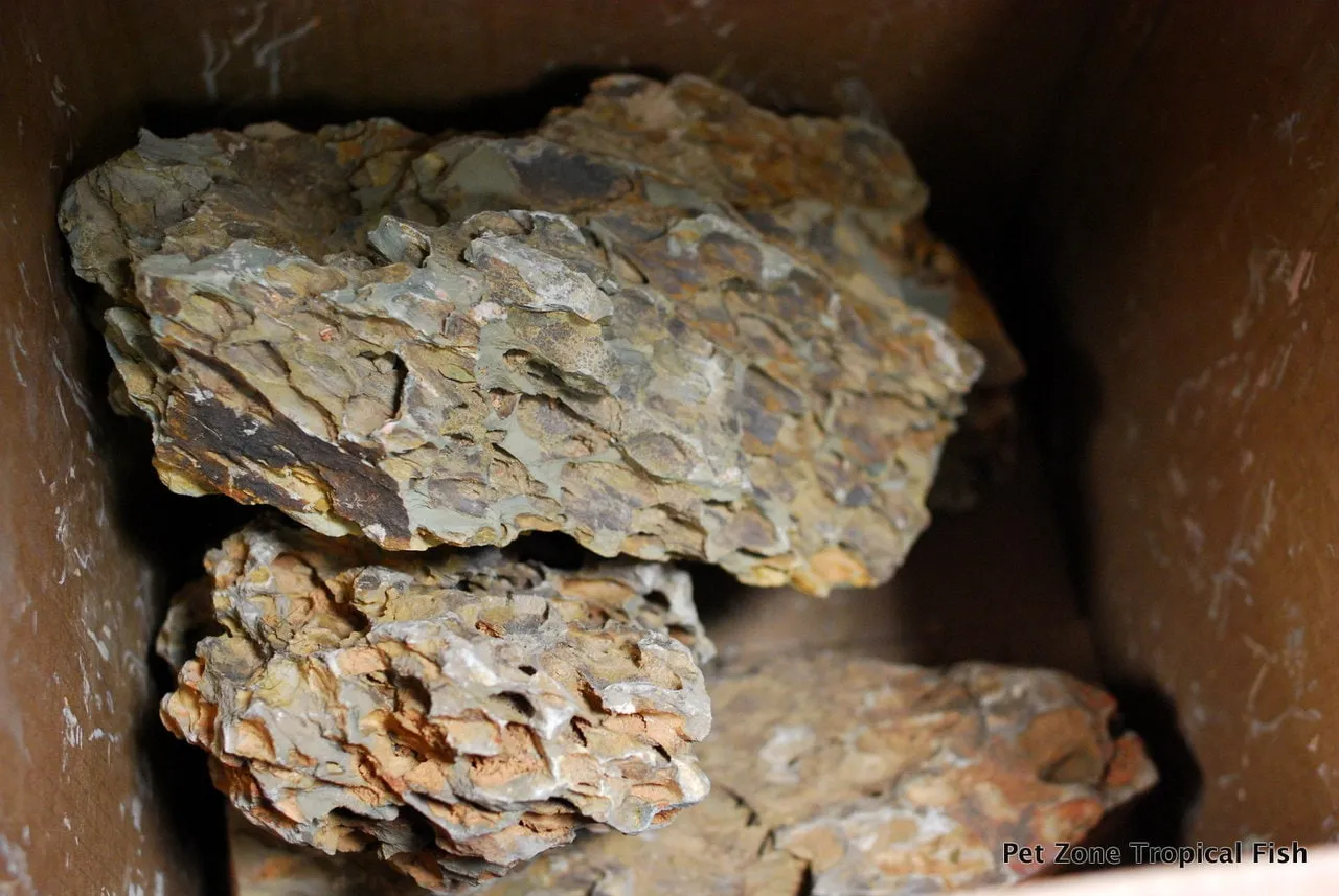 Natural Dragon Stone (Ohko) for Aquascaping & Planted Aquariums