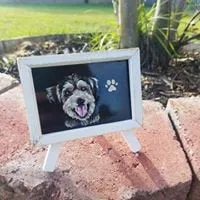 Office Desk Pet Portrait Easel - Custom Dog Lover Gift - Art for work
