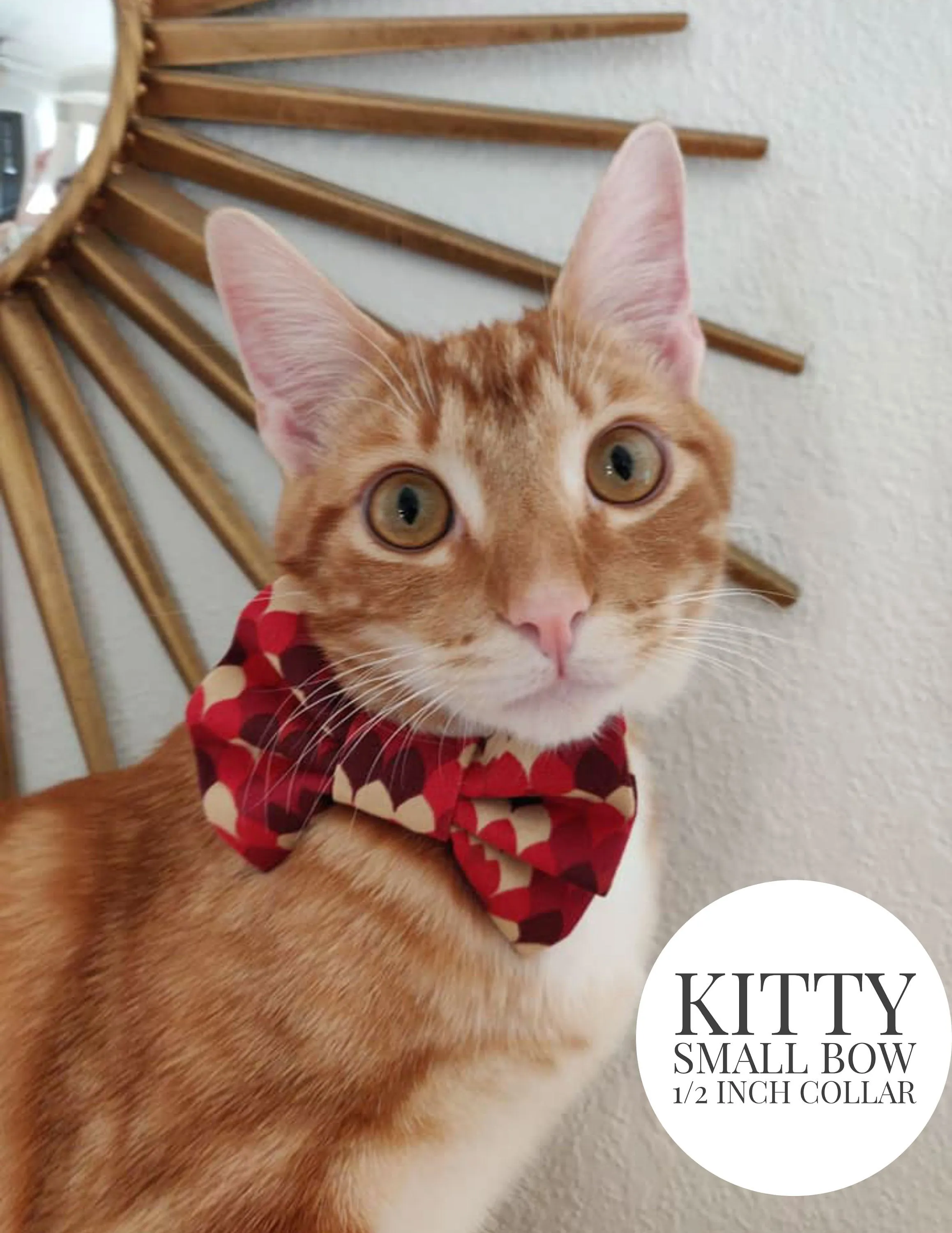 Red Scales - Slip On Bow Tie