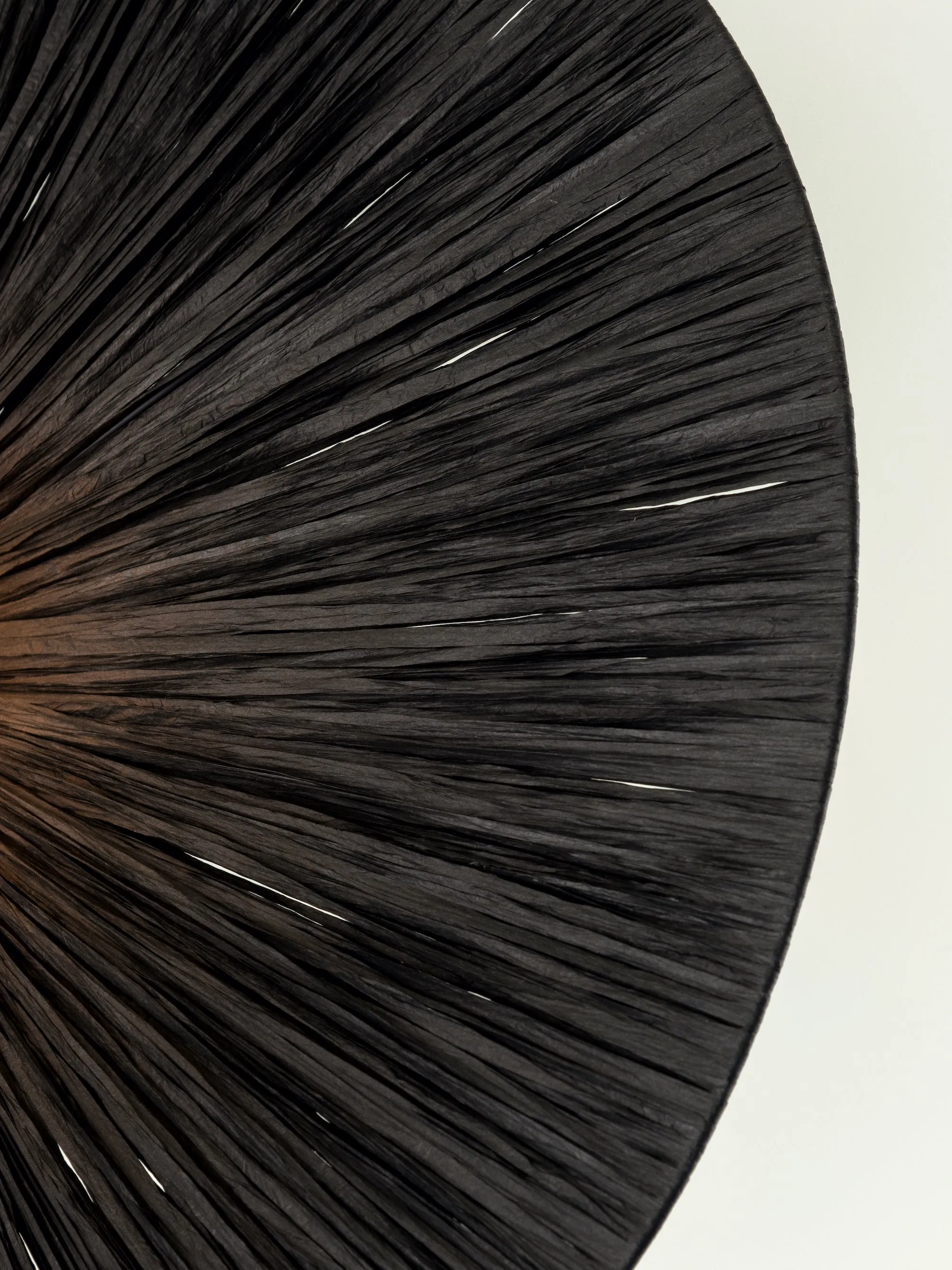 Ridotti - 1 light black raffia floor lamp